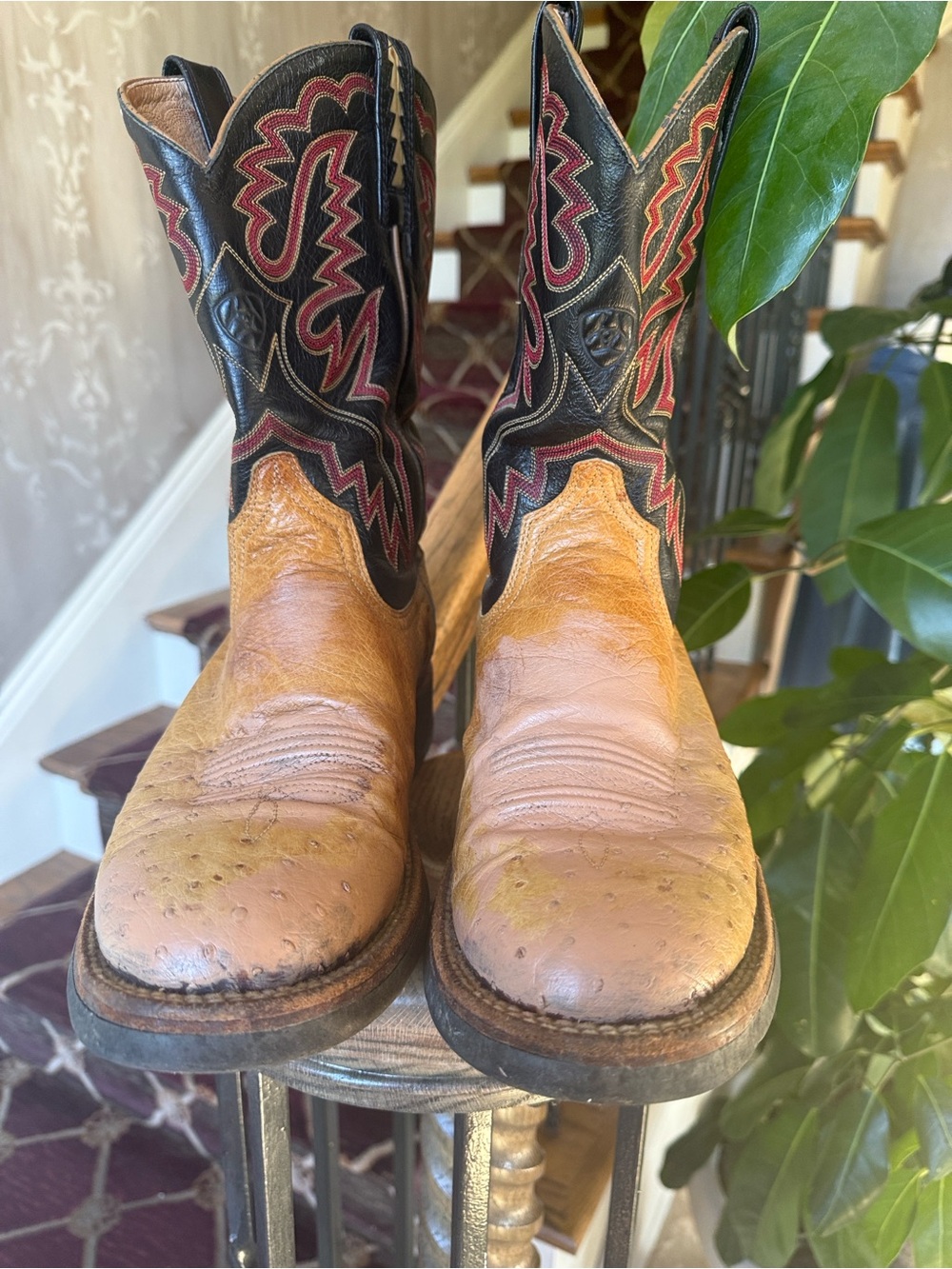 ARIAT smooth ostrich boots size 10. Good condition. - Picture 4 of 9